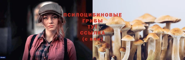 ешки Алзамай