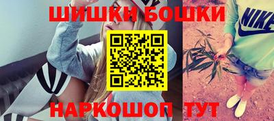 крисы Малгобек