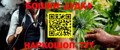 крисы Малгобек