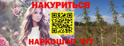 крисы Малгобек