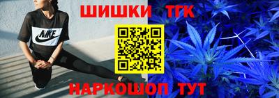 крисы Малгобек