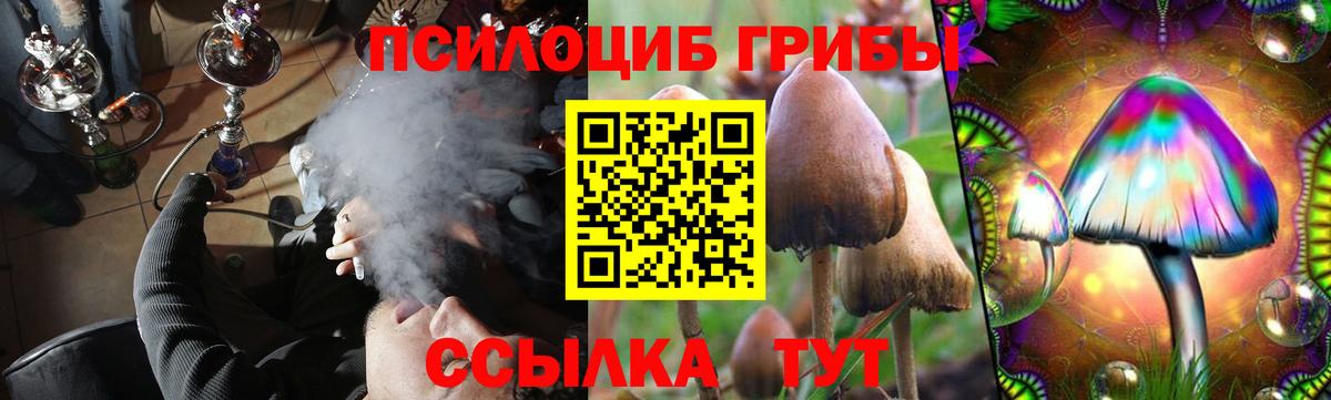 Карабулак  Псилоцибиновые грибы прущие грибы  Вход с VPN  Галлюциногенные грибы Psilocybine cubensis 